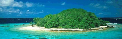 Ya se registran seis extinciones en masa en Ocean&iacute;a